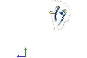AlphaFold protein structure predicition of Mouse Recombinant Krt26 Protein, UniprotID Q3TRJ4