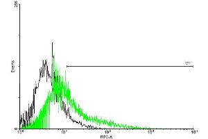 FACS analysis of negative control 293 cells (Black) and TPTE expressing 293 cells (Green) using TPTE purified MaxPab mouse polyclonal antibody. (TPTE 抗体  (AA 1-533))