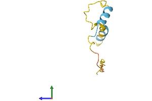 Protein Structure (PS) image for Protein Kinase (CAMP-Dependent, Catalytic) Inhibitor gamma (PKIG) (AA 1-76) protein (Fc Tag) (ABIN7548536)
