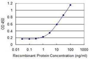Detection limit for recombinant GST tagged AGPAT6 is 0. (AGPAT6 抗体  (AA 39-137))
