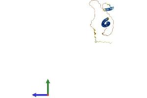 Protein Structure (PS) image for NDE1 (NDE1) (AA 1-344) protein (His tag) (ABIN7560778)