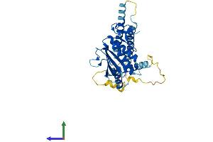 Protein Structure (PS) image for Mediator Complex Subunit 27 (MED27) (AA 1-311) protein (His tag) (ABIN7549301)