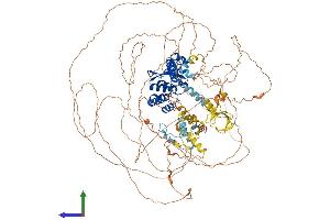 Protein Structure (PS) image for OTU Domain Containing 4 (OTUD4) (AA 1-1114) protein (His tag) (ABIN7554847)