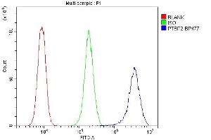 Flow Cytometry analysis of THP-1 cells using anti-PTBP2 antibody (ABIN7599452). (PTBP2 抗体  (AA 1-504))