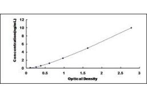 Typical standard curve (FBLIM1 ELISA 试剂盒)