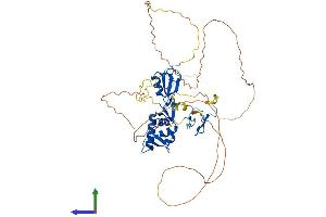 Protein Structure (PS) image for Mdm2, p53 E3 Ubiquitin Protein Ligase Homolog (Mouse) (MDM2) (AA 1-489) protein (His tag) (ABIN7562986)