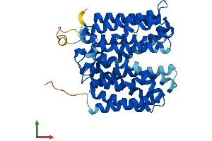Protein Structure (PS) image for Solute Carrier Family 22 Member 18 (SLC22A18) (AA 1-406) protein (His tag) (ABIN7558175)