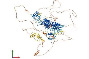 Protein Structure (PS) image for Bicaudal C Homolog 1 (BICC1) (AA 1-977) protein (His tag) (ABIN7564902)