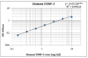 ELISA image for TIMP Metallopeptidase Inhibitor 3 (TIMP3) ELISA Kit (ABIN5026951)
