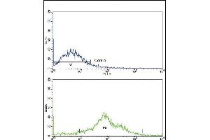 Flow Cytometry (FACS) image for anti-Phospholipase A2, Group IVA (Cytosolic, Calcium-Dependent) (PLA2G4A) (AA 513-541) antibody (ABIN652449)