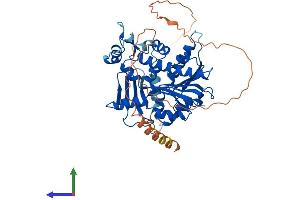 AlphaFold protein structure predicition of Human Recombinant RNMT Protein, UniprotID O43148