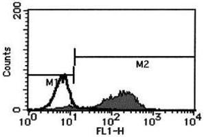 Flow Cytometry (FACS) image for anti-Fas Ligand (TNF Superfamily, Member 6) (FASL) antibody (FITC) (ABIN1105948) (FASL 抗体  (FITC))