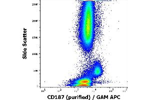 Flow cytometry surface staining pattern of human peripheral whole blood stained using anti-human CD187 (10D1-J16) purified antibody (concentration in sample 1,7 μg/mL, GAM APC). (CXCR7 抗体)