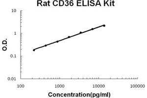 Rat CD36/SR-B3 PicoKine ELISA Kit standard curve (CD36 ELISA 试剂盒)