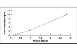 Typical standard curve (SIRT4 ELISA 试剂盒)
