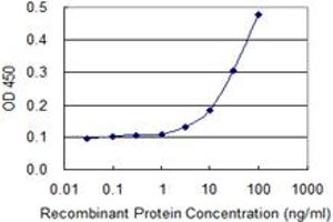 Detection limit for recombinant GST tagged NID1 is 1 ng/ml as a capture antibody. (Nidogen 1 抗体  (AA 1148-1247))