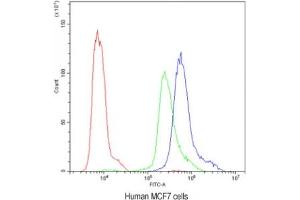 Flow cytometry testing of human MCF7 cells with PKC eta antibody at 1ug/10^6 cells (blocked with goat sera) (PKC eta 抗体  (AA 30-389))