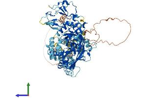 Protein Structure (PS) image for Diacylglycerol Kinase, beta 90kDa (DGKB) (AA 1-804) protein (His tag) (ABIN7547071)