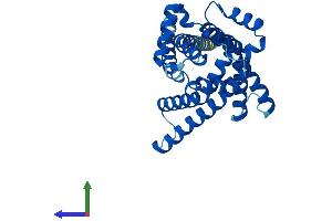 Protein Structure (PS) image for Solute Carrier Family 25, Member 42 (SLC25A42) (AA 1-318) protein (His tag) (ABIN7559648)