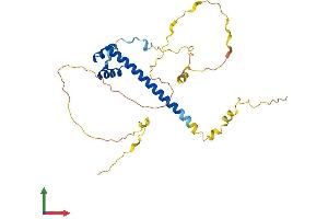 Protein Structure (PS) image for T-Cell Leukemia Homeobox 3 (TLX3) (AA 1-291) protein (His tag) (ABIN7544509)