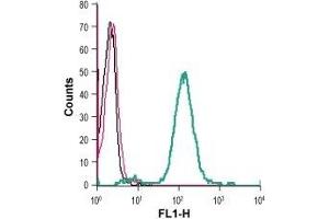 Cell surface detection of GPR68 in live intact human THP-1 monocytic leukemia cells: (black line) Cells. (GPR68 抗体  (Extracellular))