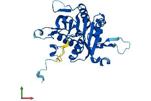 Protein Structure (PS) image for Proteasome (Prosome, Macropain) Assembly Chaperone 2 (PSMG2) (AA 1-264) protein (His tag) (ABIN7551028)
