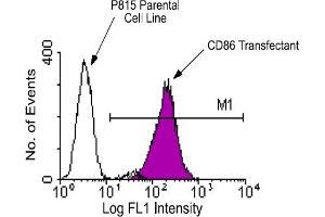 Flow Cytometry (FACS) image for anti-CD86 (CD86) antibody (FITC) (ABIN371013) (CD86 抗体  (FITC))
