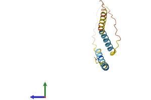 AlphaFold protein structure predicition of Mouse Recombinant Smim23 Protein, UniprotID Q9DAL0 (SMIM23 (AA 1-136) protein (His tag))