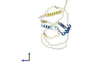 Protein Structure (PS) image for Short Stature Homeobox 2 (SHOX2) (AA 1-331) protein (His tag) (ABIN7556712)