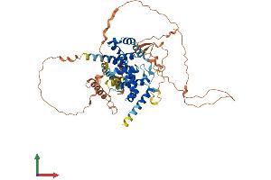 AlphaFold protein structure predicition of Human Recombinant TBC1D3L Protein, UniprotID B9A6J9