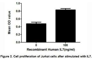 Image no. 1 for Interleukin 7 (IL7) (AA 26-177) (Active) protein (His tag) (ABIN6239759)