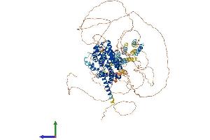Protein Structure (PS) image for phosphodiesterase 3A, cGMP-Inhibited (PDE3A) (AA 1-1141) protein (His tag) (ABIN7554896)
