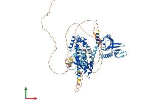 Protein Structure (PS) image for Spermatogenesis Associated 13 (SPATA13) (AA 1-656) protein (His tag) (ABIN7563812)