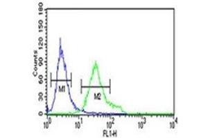 DGCR8 antibody flow cytometric analysis of NCI-H460 cells (green) compared to a negative control (blue). (DGCR8 抗体  (AA 439-466))