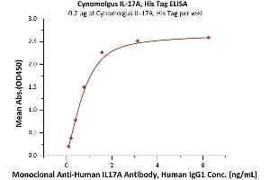 Measured by its binding ability in a functional ELISA.