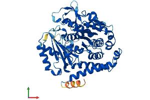 Protein Structure (PS) image for Tubulin, beta (TUBB) (AA 1-444) protein (His tag) (ABIN7544268)