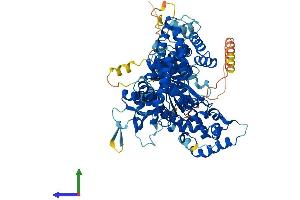 Protein Structure (PS) image for Protein-Kinase, Interferon-Inducible Double Stranded RNA Dependent Inhibitor, Repressor of (p58 Repressor) (PRKRIR) (AA 1-758) protein (His tag) (ABIN7560648)