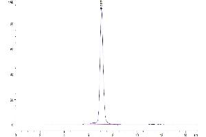 The purity of Human IL-20RA is greater than 95 % as determined by SEC-HPLC.