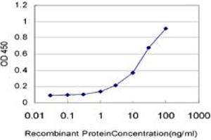 Detection limit for recombinant GST tagged USP10 is approximately 0. (USP10 抗体  (AA 699-797))