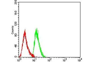 Flow cytometric analysis of THP-1 cells using CD7 mouse mAb (green) and negative control (red). (CD7 抗体  (AA 26-180))