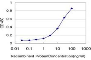 Detection limit for recombinant GST tagged HUNK is approximately 0. (HUNK 抗体  (AA 615-714))