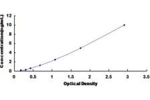 C-Myc Binding Protein (MYCBP) ELISA Kit