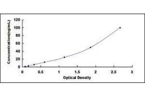 Typical standard curve (alpha KGDHC ELISA 试剂盒)