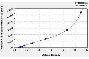 Typical standard curve (NINJ1 ELISA 试剂盒)
