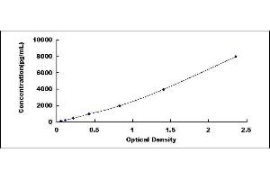 Bone Sialoprotein (BSP) ELISA Kit