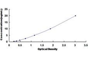 Typical standard curve (MYOM2 ELISA 试剂盒)