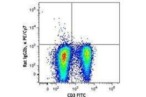 Flow Cytometry (FACS) image for anti-Interleukin 2 (IL2) antibody (PE-Cy7) (ABIN2659370) (IL-2 抗体  (PE-Cy7))
