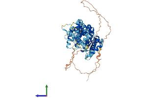 Protein Structure (PS) image for Spermatogenesis Associated 16 (SPATA16) (AA 1-571) protein (His tag) (ABIN7559165)