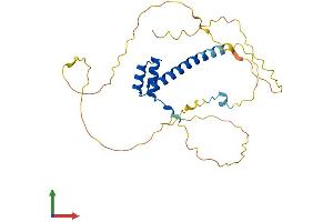 Protein Structure (PS) image for H6 Family Homeobox 2 (HMX2) (AA 1-273) protein (His tag) (ABIN7548311)
