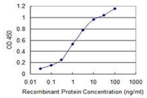 Detection limit for recombinant GST tagged USP9X is 0. (USP9X 抗体  (AA 1-90))